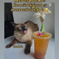 เมนูของร้าน ร้าน บ้านปะป๊า BAAN PAPA