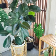 pleased to meet you cafe