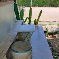 pleased to meet you cafe