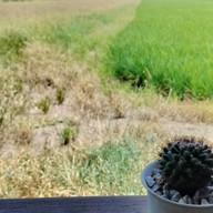 pleased to meet you cafe