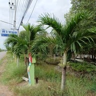 เมนู ครัวตาหนุ่ย