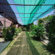 บรรยากาศ ข้าวแกงใต้ ข้าวราดแกง & กาแฟสด -