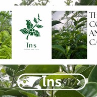 ไทร สวนไทรบิ๊กเต้