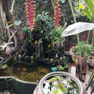 กำนันจิโภชนา