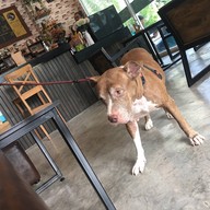 Sebastian’s Cafè ( เครื่องดื่มร้านนี้ ใครที่ดื่มโชคดีทุกคน)