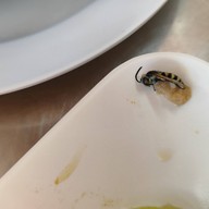 อ้วนข้าวหน้าเป็ด