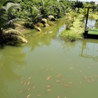 บรรยากาศ ก๋วยเตี๋ยวเรือ “อยู่นั่นไง” ปทุมธานี