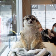 Little Zoo Cafe Onnut Plaza