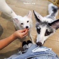 Little Zoo Cafe Onnut Plaza