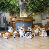 Little Zoo Cafe Onnut Plaza