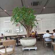 บรรยากาศ YOLK