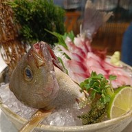 เมนูของร้าน Sushi Hokkaido Sachi Restaurant Saigon Center