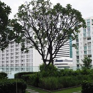 Novotel Bangkok Sukhumvit 4