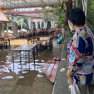 เฮือนนพเก้ารีสอร์ท