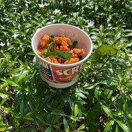 Bai cha แม่โจ้เชียงใหม่