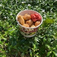 Bai cha แม่โจ้เชียงใหม่