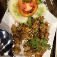 สวนภูมิทาน อยุธยา