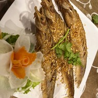 สวนภูมิทาน อยุธยา