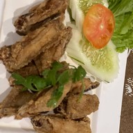 สวนภูมิทาน อยุธยา