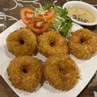 สวนภูมิทาน อยุธยา