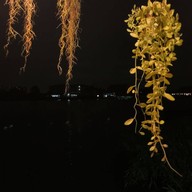 บรรยากาศ Captain Hook Riverfront Restaurant (กับตันฮุค เดอะริเวอร์ฟร้อนท์)