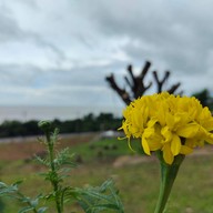 บรรยากาศ วัดหาดทรายแดง