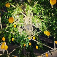 บรรยากาศ Mekha By SHAN Mekha By SHAN