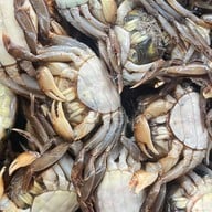 ร้านข้าวหนึ่งเดียวเน้นปลาทู