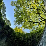 บรรยากาศ Fort Canning Park