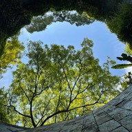 บรรยากาศ Fort Canning Park