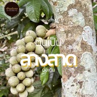 เฮือนลับแล