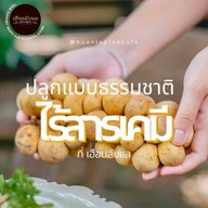 เฮือนลับแล