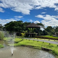 Lapuné Cafe and Scene