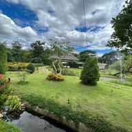 Lapuné Cafe and Scene