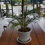 บรรยากาศ Truth Coffee&poshtel