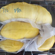 พัชรีทุเรียนซิ่ง (เบิกไพร)