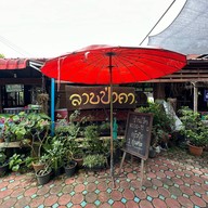 ลาบป่าคา ดอยสะเก็ด