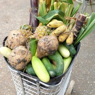 วังช้างอยุธยาแลเพนียด