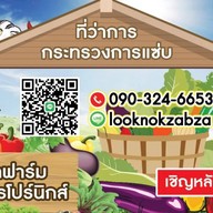 Chicken Noodled (Patra Farm)