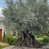 LAGOM Coffee&bakery Phitsanulok