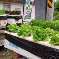 สวนลุงน้อง บ้านโป่ง