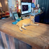 ALL BLUES COFFEE BAR