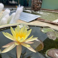 บ้านสวนกระท่อมคาเฟ่ & รีสอร์ต (อาหาร เครืี่องดื่ม ที่พัก) นครปฐม