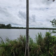 บรรยากาศ Pakasai Country Club