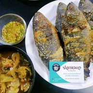 ปลาหมอเผา ณ เชียงใหม่