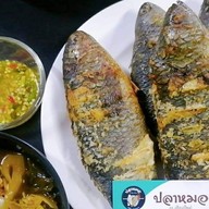 ปลาหมอเผา ณ เชียงใหม่