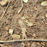 น้ำตกแก่งโสภา