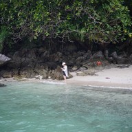 ชุมชนอ่าวคราม (อ่าวคราม โฮมสเตย์)