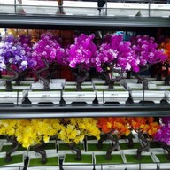 ของใช้ในครัวเรือนและของใช้เอนกประสงค์ Serithai 41