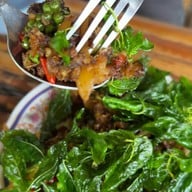 เมนูของร้าน ครัวต้นไทร